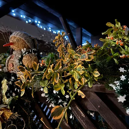 Drevenica M&p アパート *